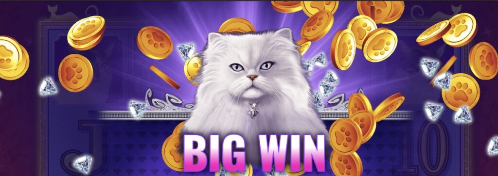 Kitty Glitter Big Win