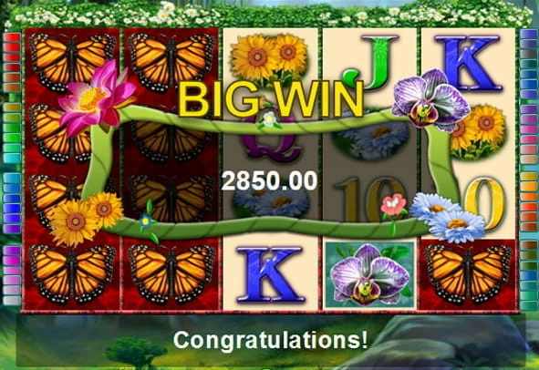 grand monarch big win