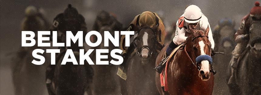 How to bet on Belmont Stakes